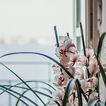 아파트 La Casa Sull'isola Pescatori